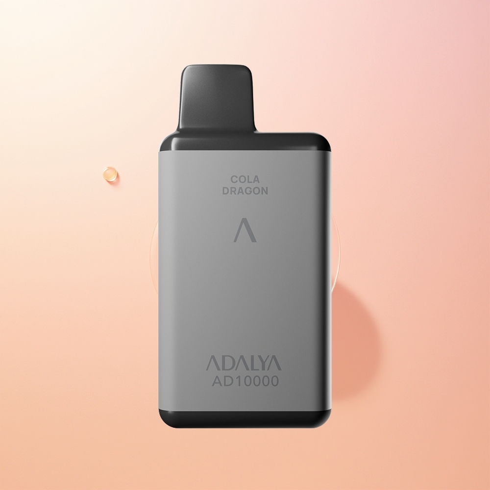 Adalya AD 10000 اللورد الرمادي الفضاء بشاحن USB-C