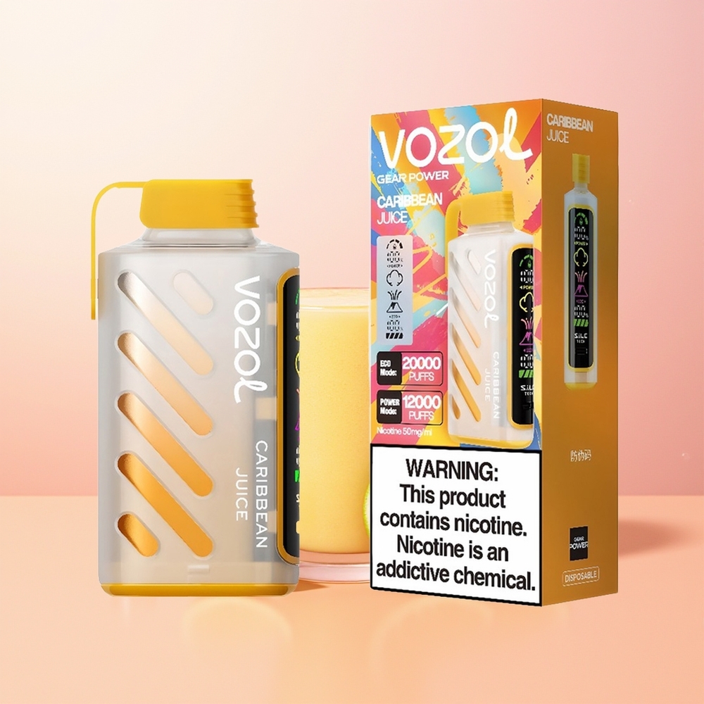 VOZOL Gear Power 20000 عصير الكاريبي التقني المزدوج