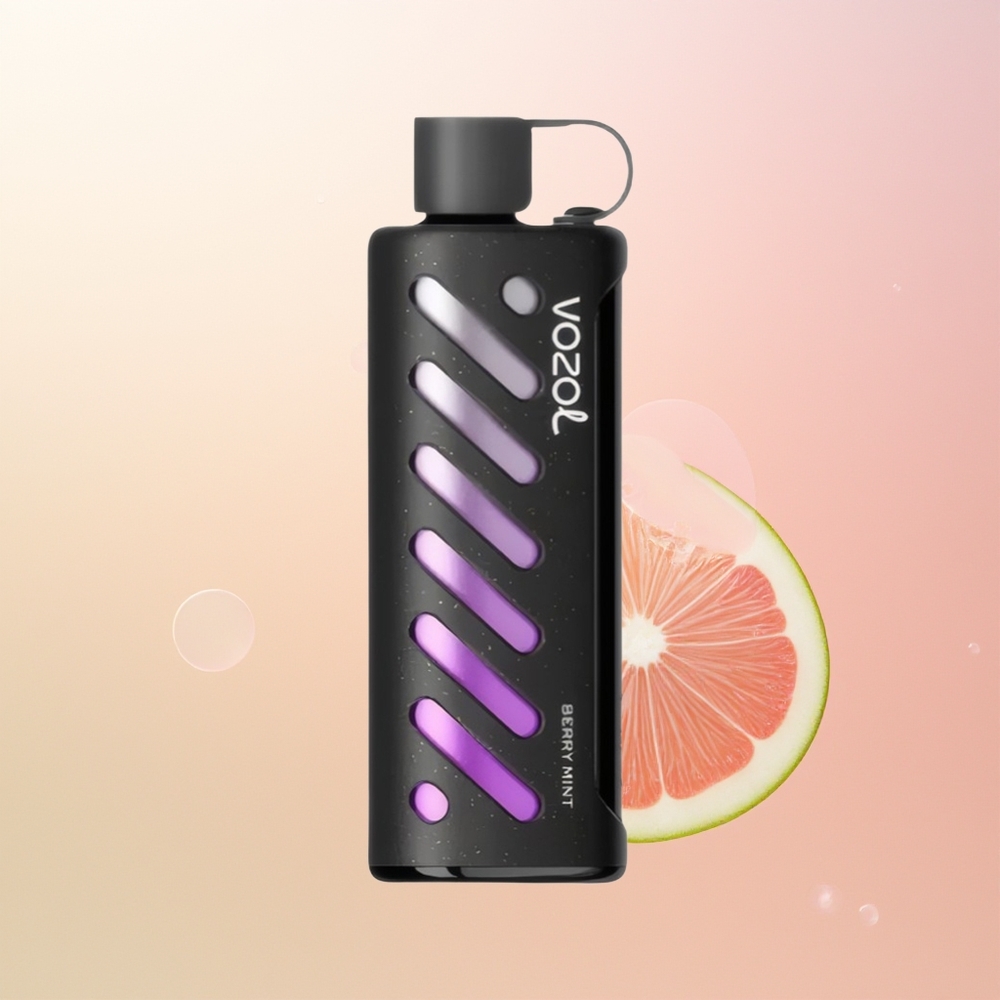 VOZOL Gear Shisha 25000 نعناع التوت الذكي المزدوج
