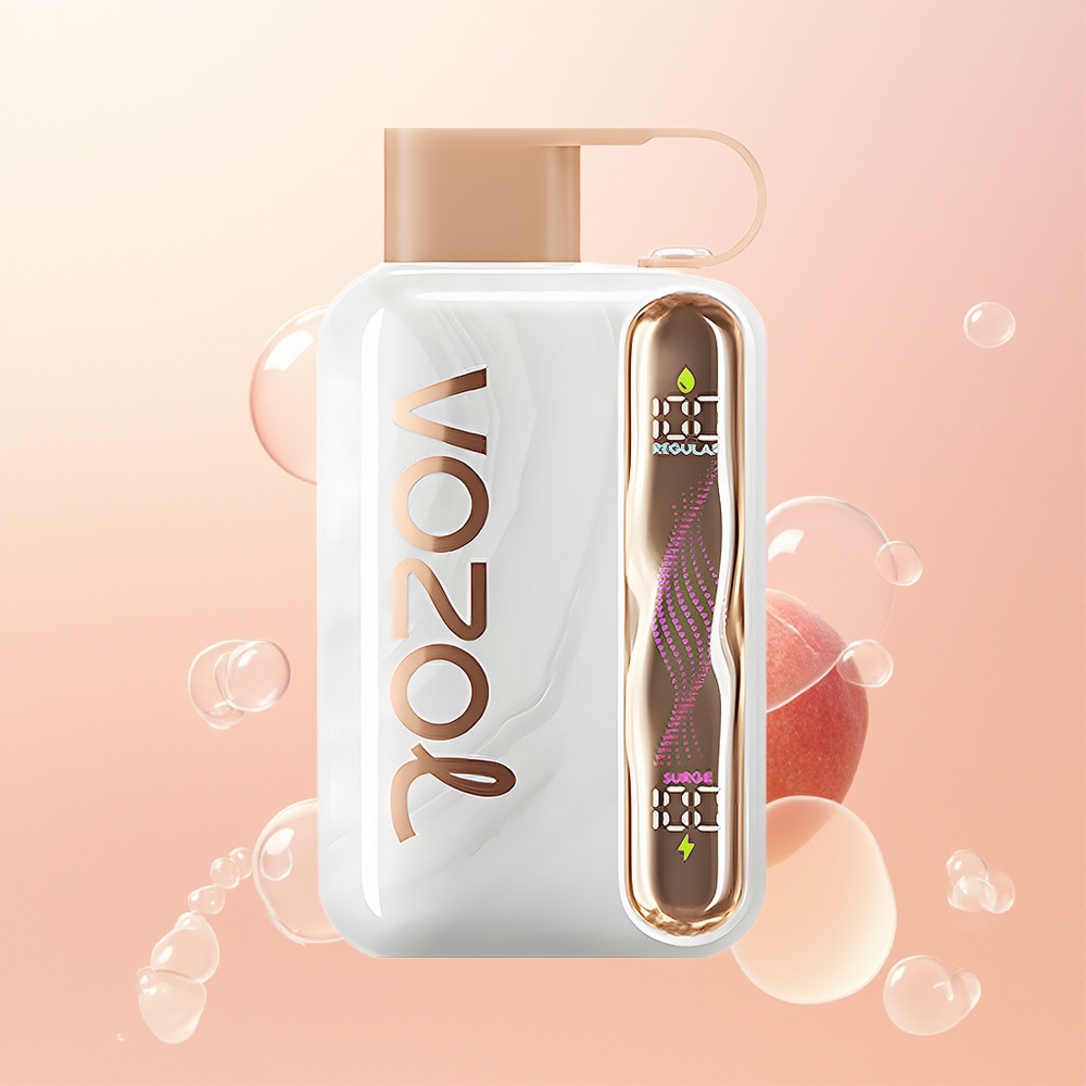VOZOL STAR 40000 بيف آيس 1000