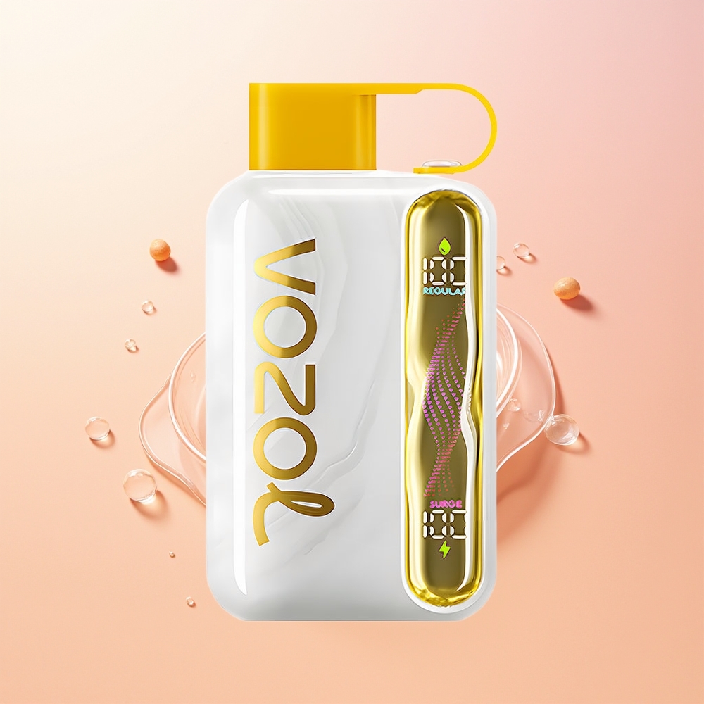 VOZOL STAR 40000 مانجو آيس 1000 ملي أمبير نوع سي