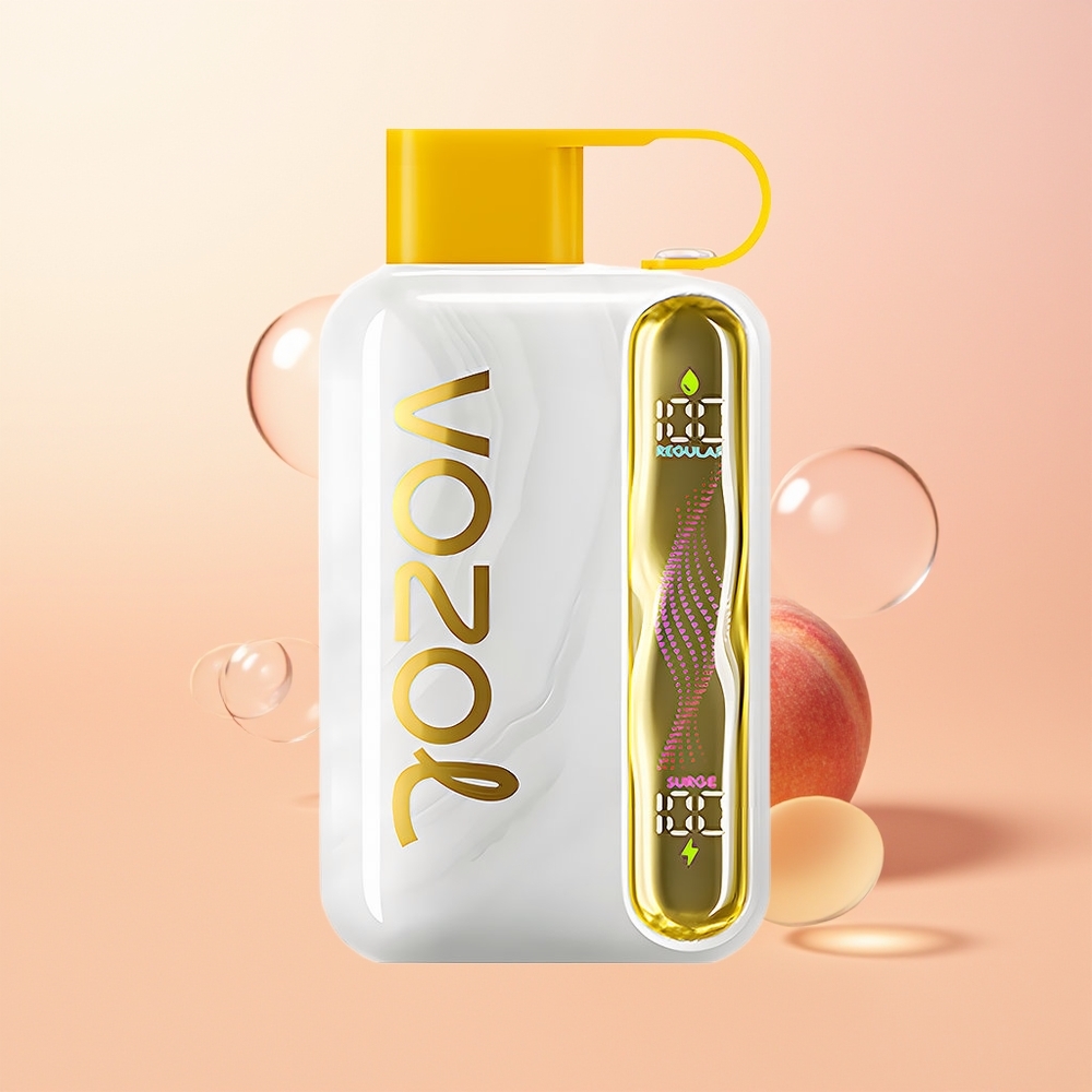 VOZOL STAR 40000 مانجو خوخ 1000 ملي أمبير