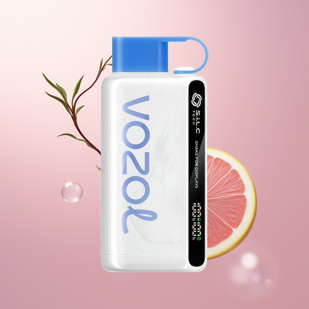 VOZOL STAR 9000/12000 عاصفة التوت الأزرق مع شاشة اهتزاز وتقنية الشحن السريع