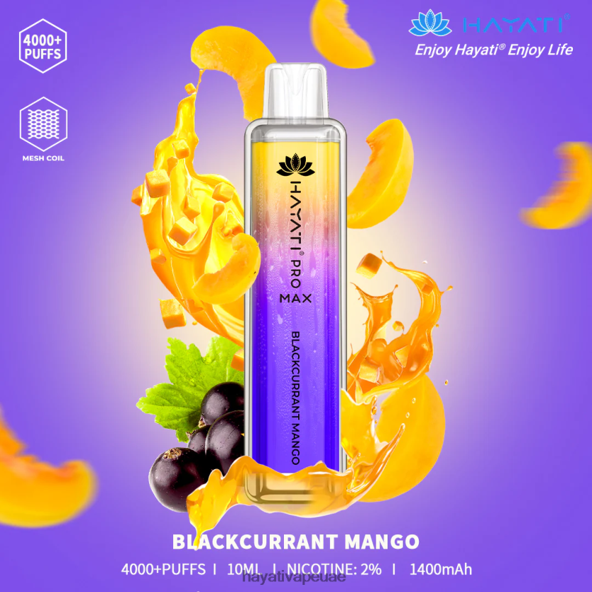 Hayati Pro Max يمكن التخلص منه مانجو عنب الثعلب - Hayati Vape Price 4B028H92